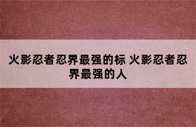 火影忍者忍界最强的标 火影忍者忍界最强的人